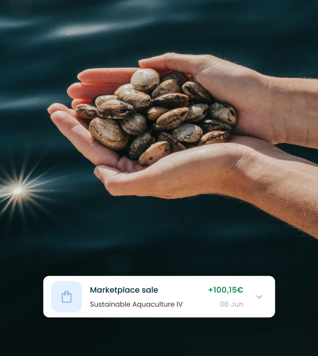 Hands holding a pile of small clams over dark water reflecting sunlight.