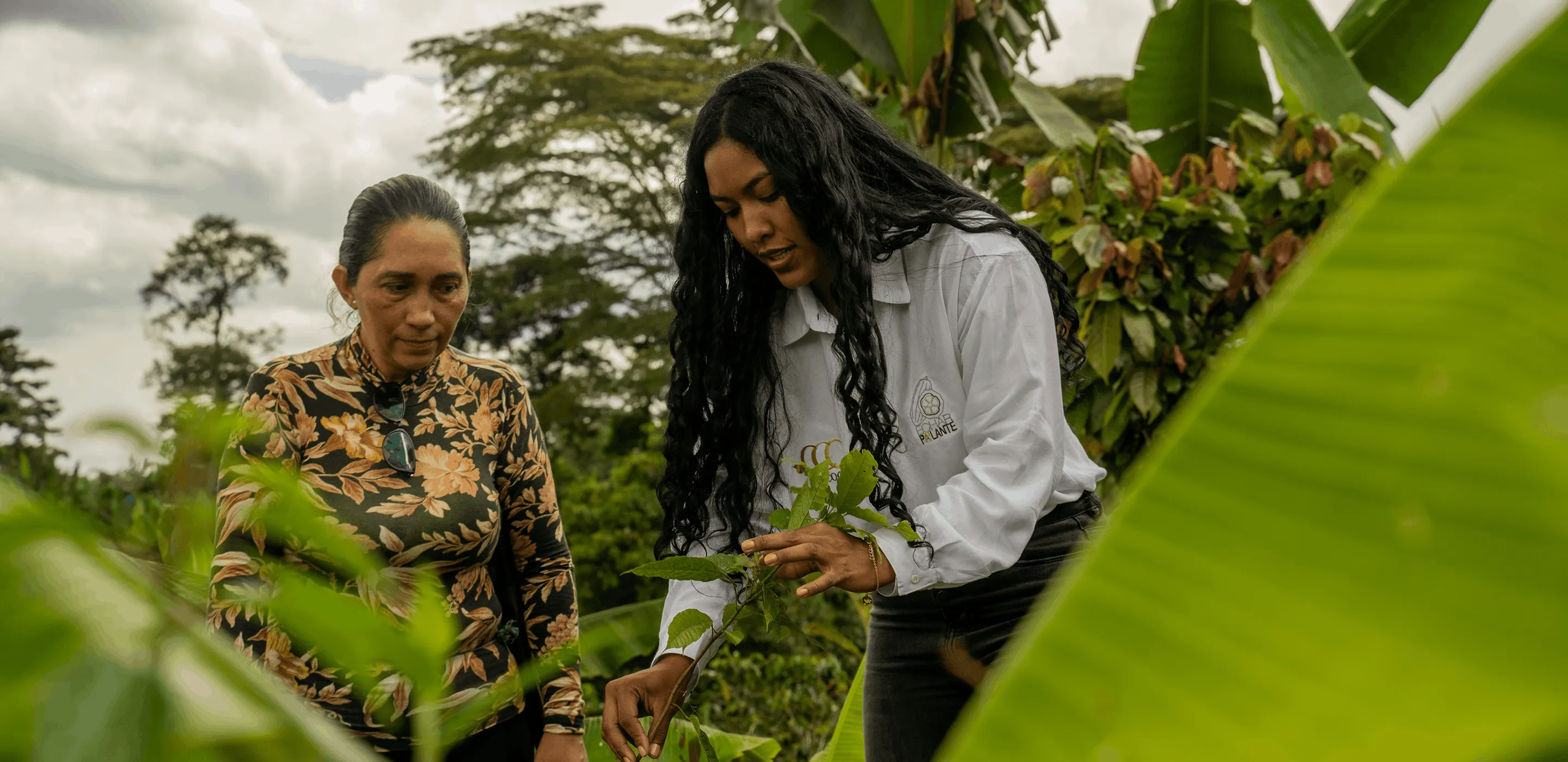 Two women examining a plant in a lush green garden with large leaves around them.