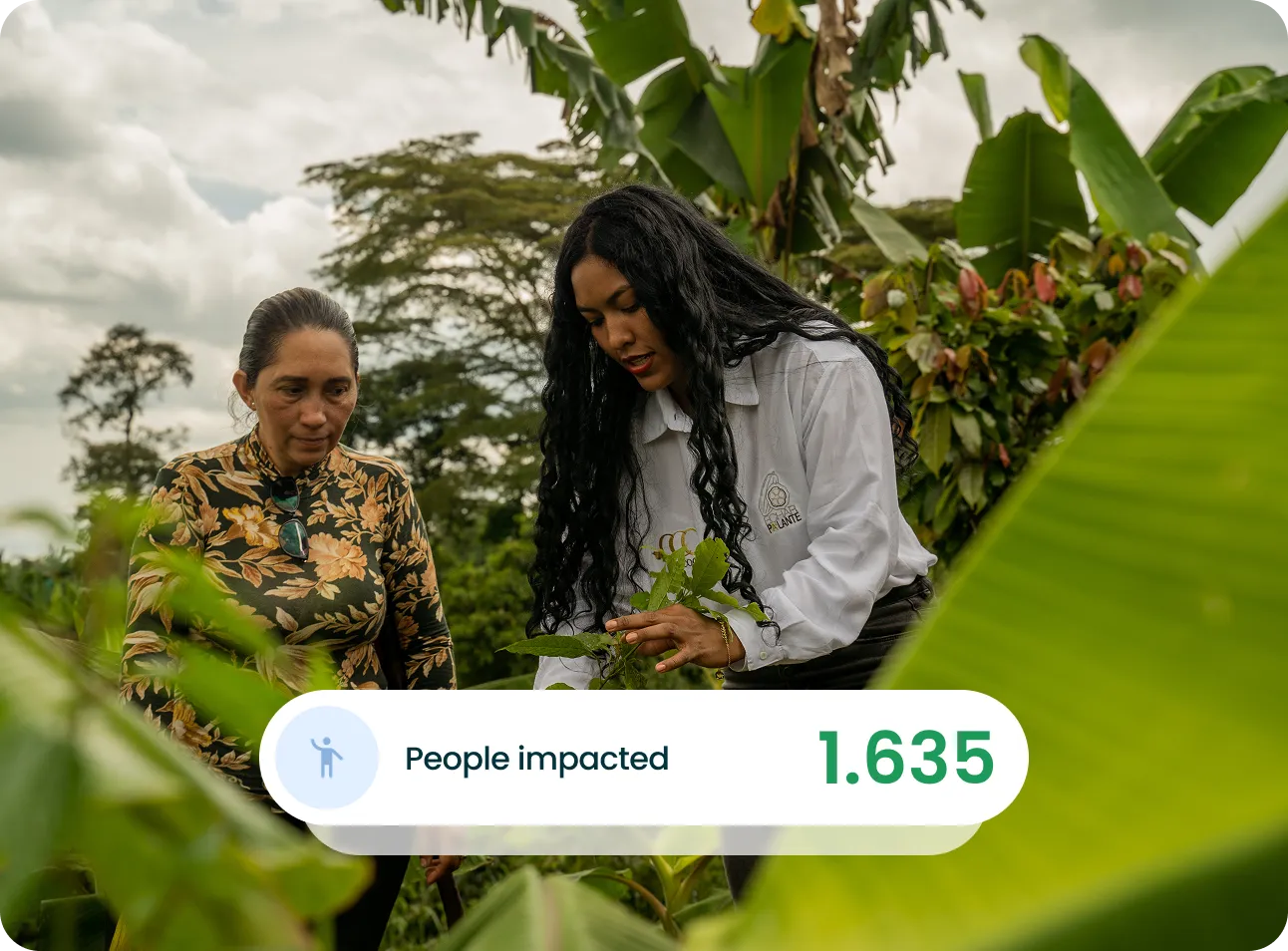 Two women examining plants in a lush green field surrounded by large leaves and trees.