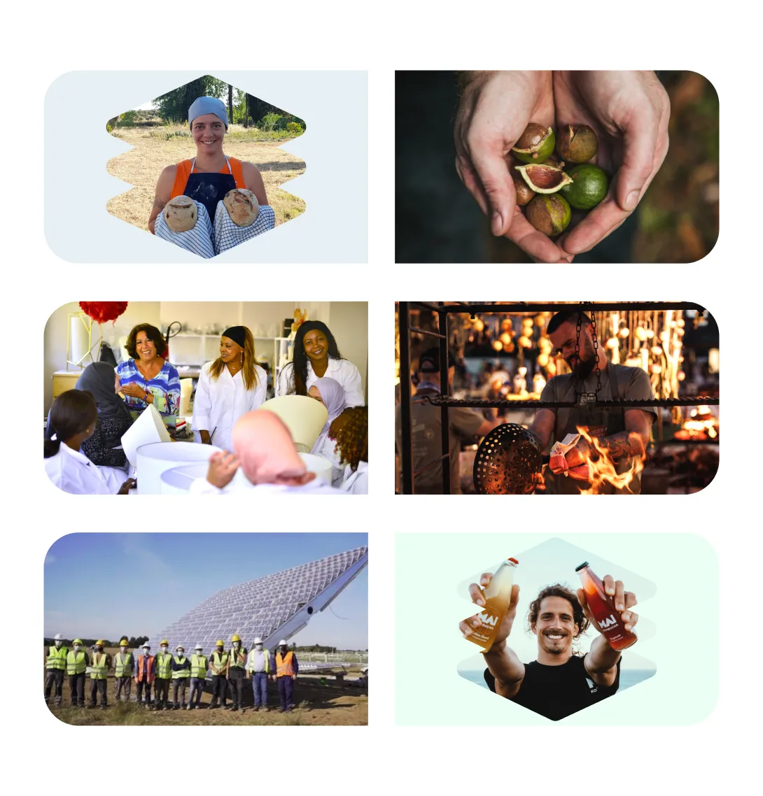 Collage of people baking, holding nuts, in lab coats, cooking with fire, near solar panels, and holding drinks.