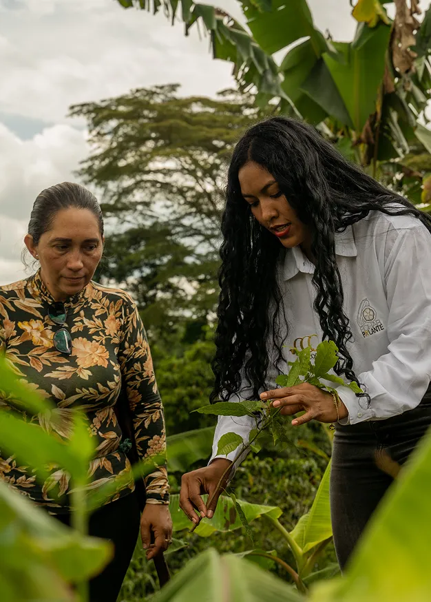 Two women examining plants in a lush green outdoor garden or farm setting.