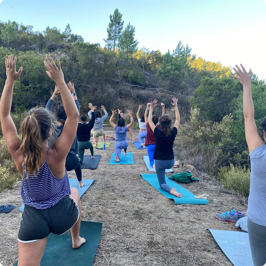 Group practicing yoga outdoors on mats in a natural, wooded area with arms raised.
