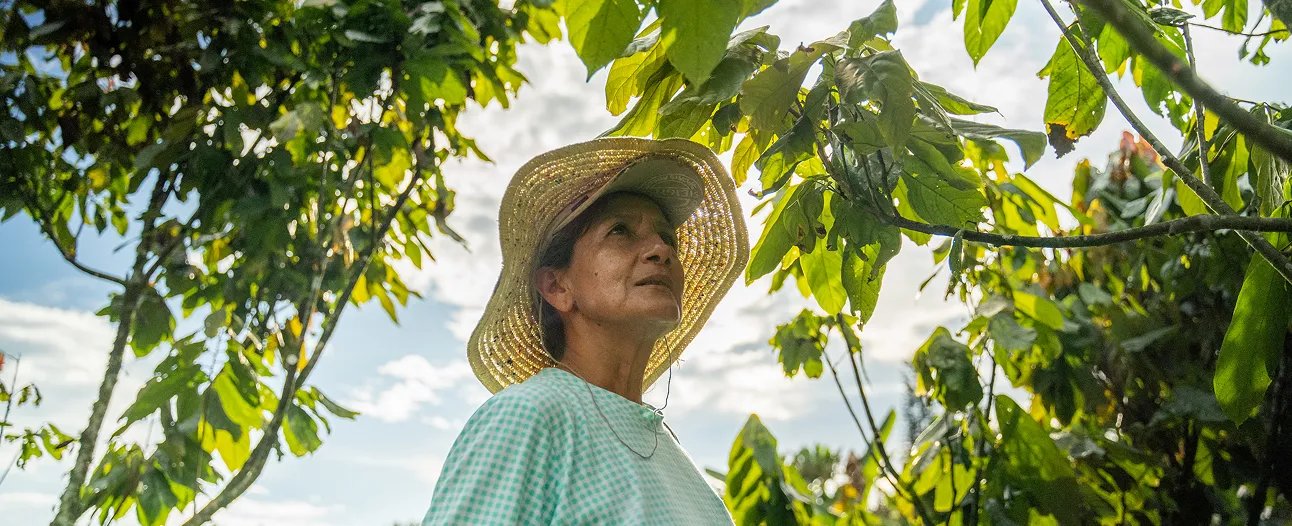 Woman in a straw hat and checkered shirt looking up amid green leafy trees under a partly cloudy sky.
