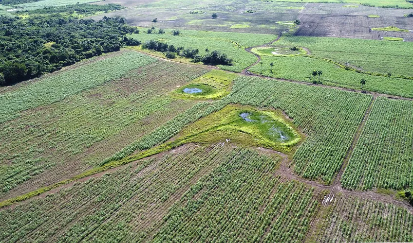 Aerial view of farmland with green fields, patches of water, and a forest area in the distance.