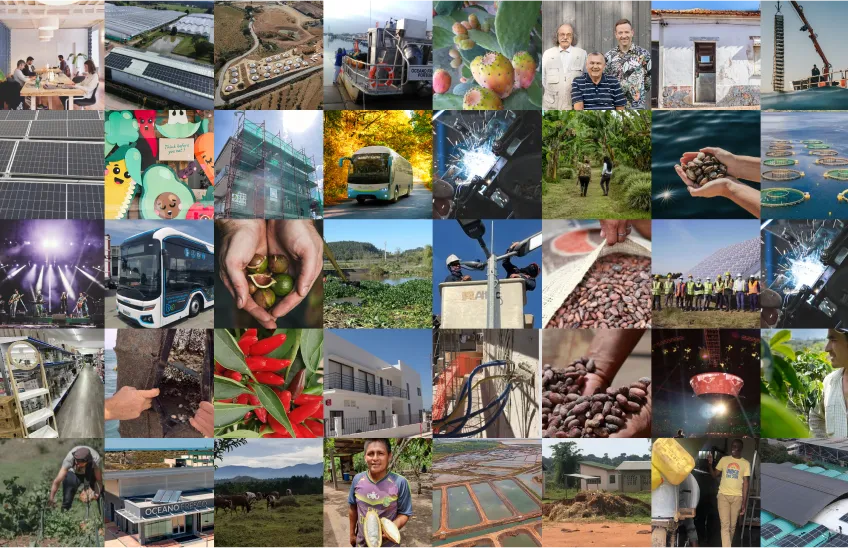 Collage of images showing farming, solar energy, construction, transport, and cocoa harvesting scenes.