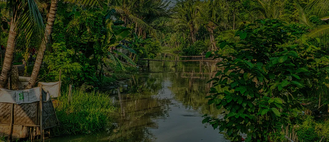 Calm river flowing through dense tropical forest with lush green trees and plants.
