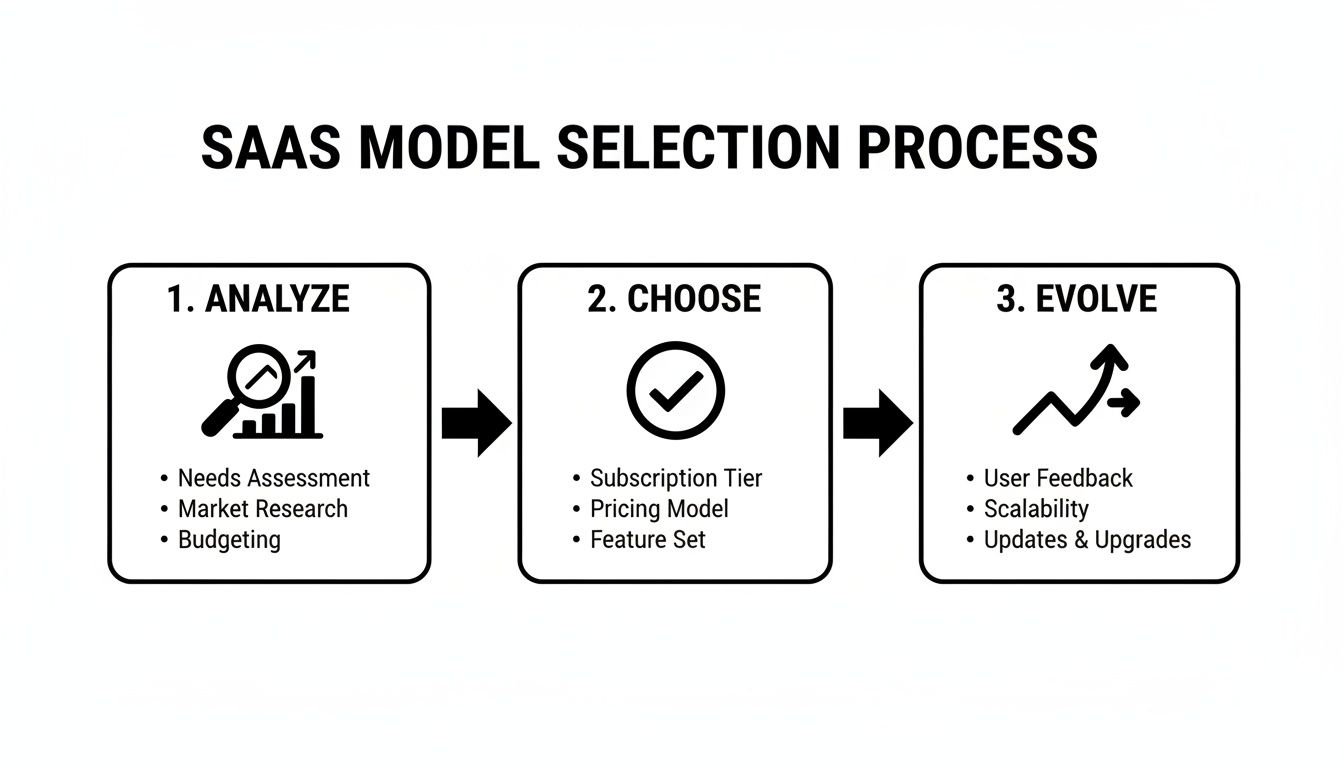Flowchart illustrating the SaaS model selection process with three key steps: Analyze, Choose, and Evolve.