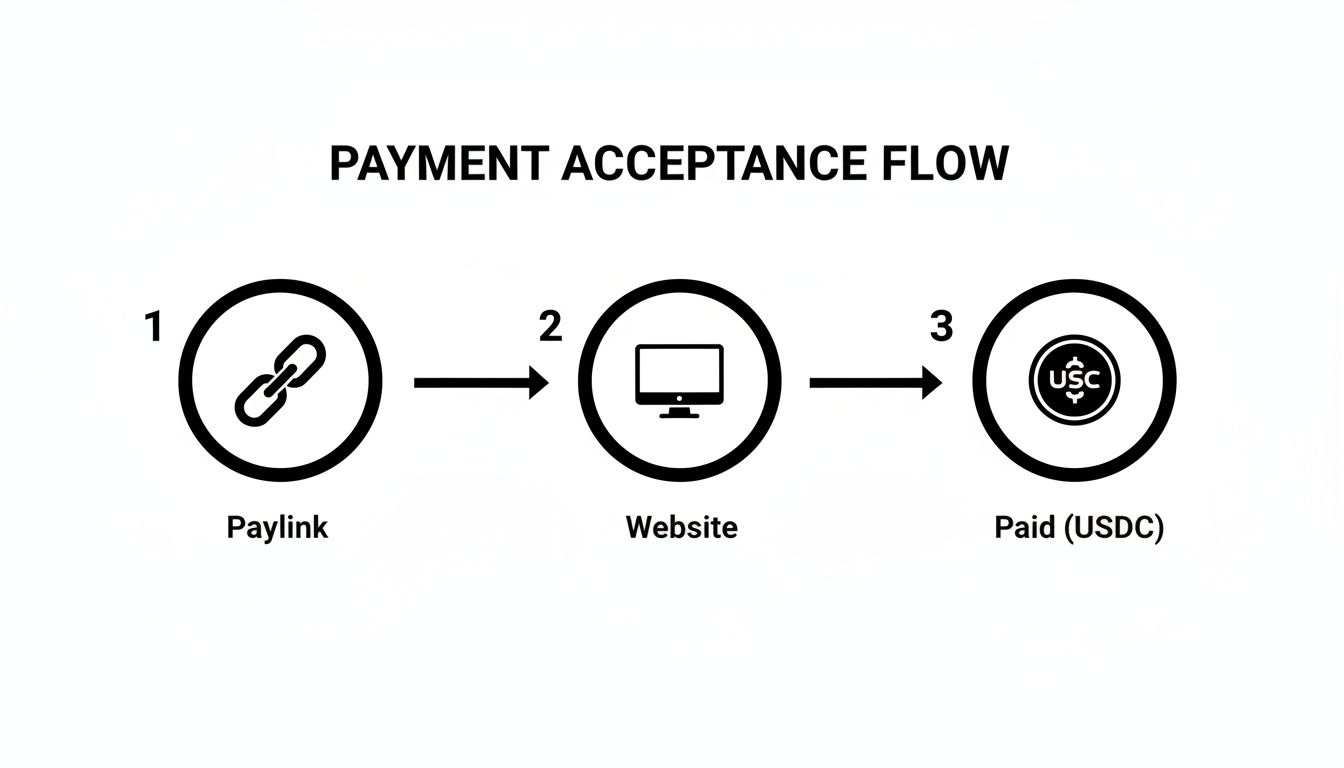 Diagram illustrating a three-step payment acceptance flow: Paylink, Website, and Paid (USDC).