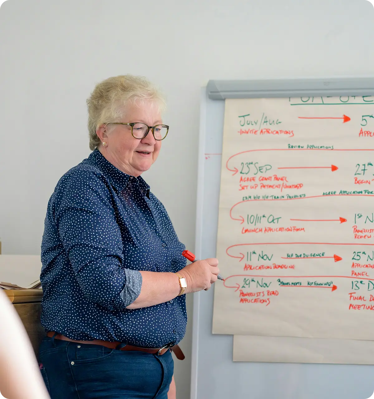 Senior woman with glasses and short blonde hair holding a red marker, standing next to a flip chart with handwritten notes and timeline arrows.