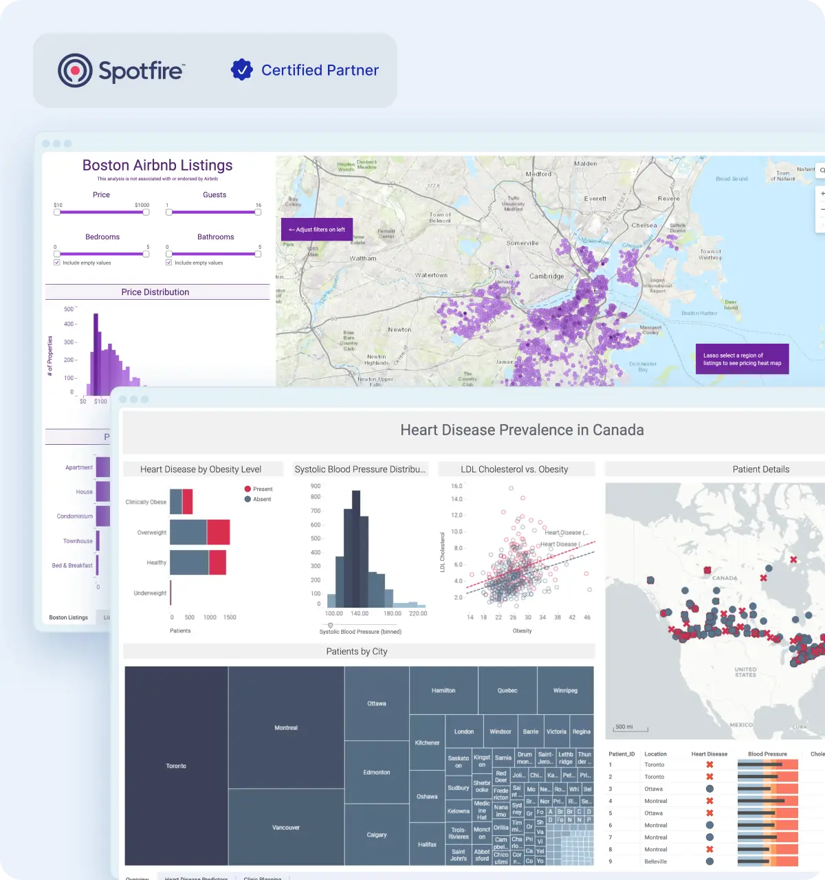 Data dashboards showing Boston Airbnb listings with price, guests, bedrooms, bathrooms filters and a map of listings; and heart disease prevalence in Canada with charts of obesity levels, blood pressure distribution, LDL cholesterol vs obesity, patient details map, and patients by city treemap.