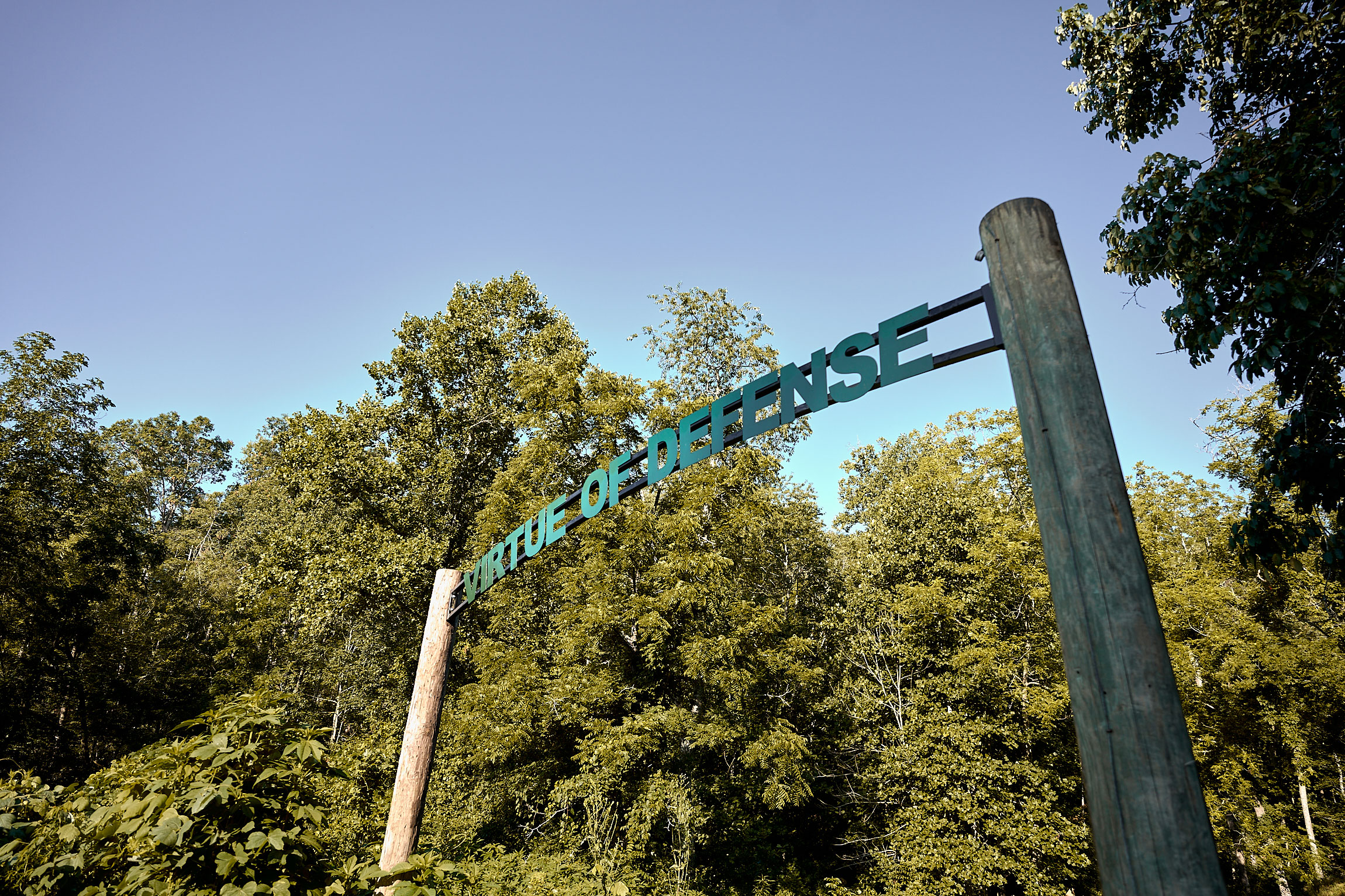 InvestorSight - Predict the Future of Shareholder Engagements