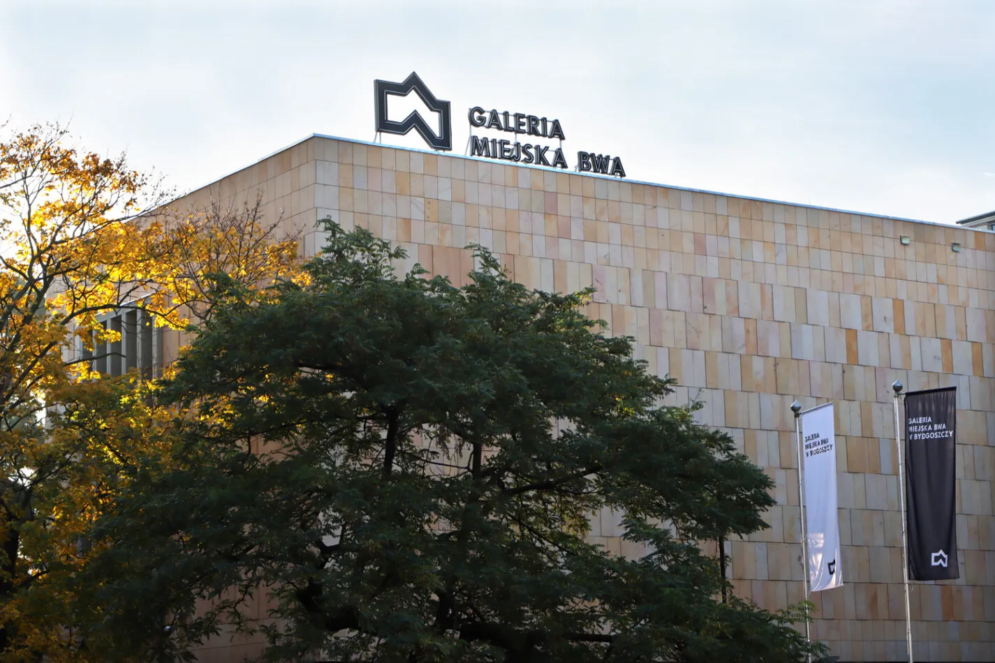 Galeria BWA – wystawy, wydarzenia i spotkania z artystami w przestrzeni sztuki współczesnej
