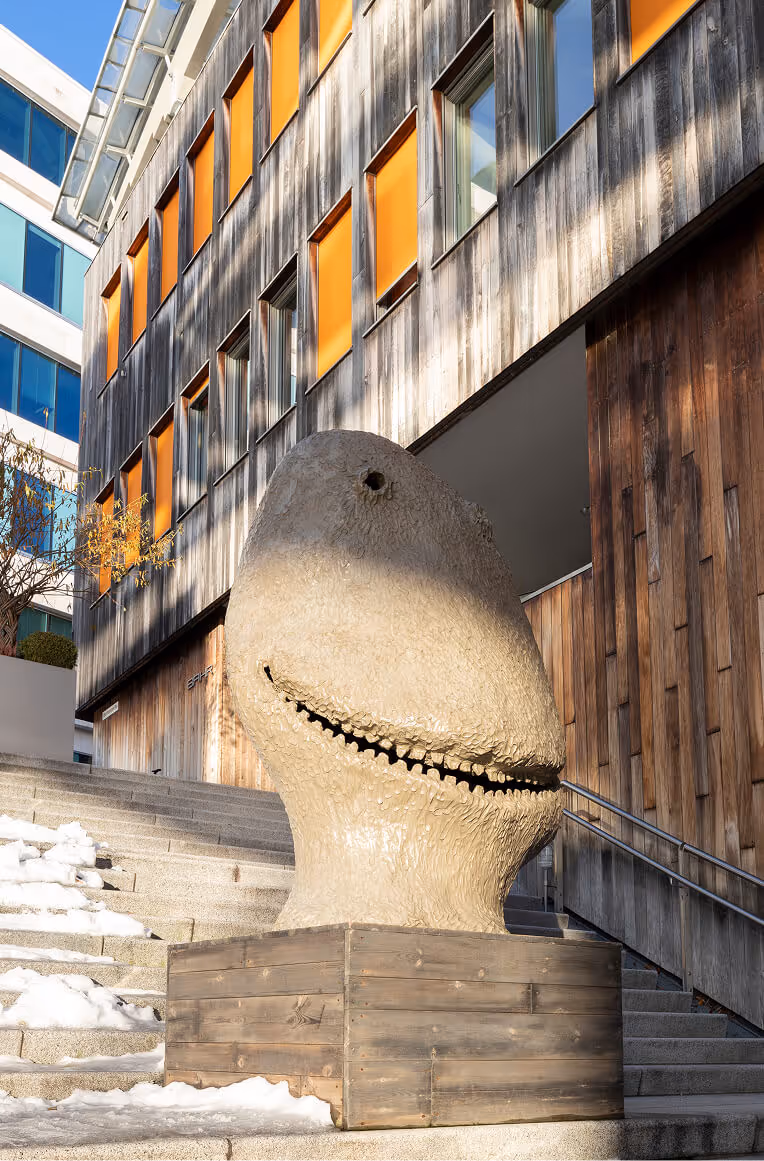 MOONRISE. east. November.