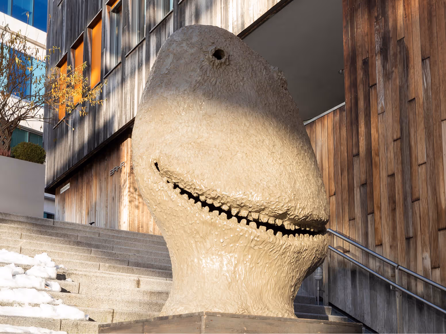 MOONRISE. east. November.