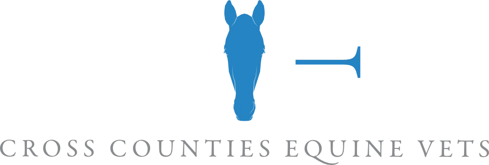 Blue vertical silhouette of a horse's head and neck with the text 'Classic Covered Equine Veterinary' underneath in gray letters.