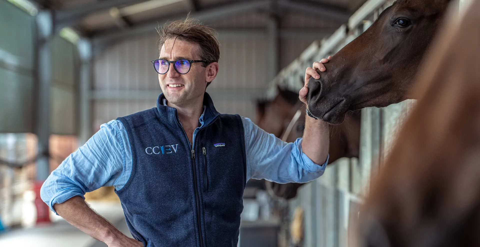 Man wearing glasses and a navy vest gently touching the nose of a brown horse inside a stable.