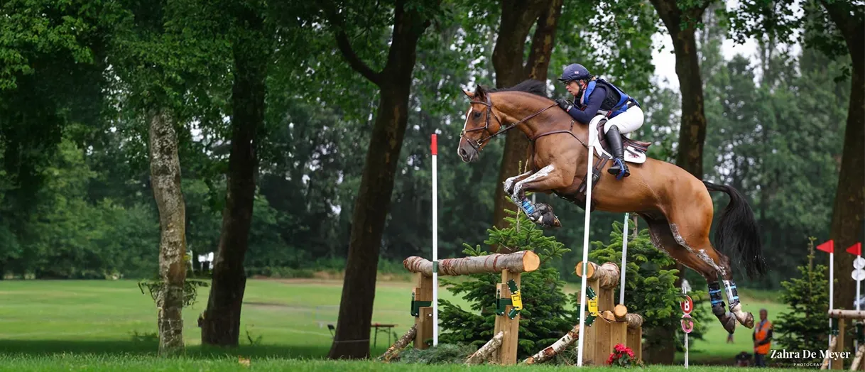 Jockey in navy and white gear riding a brown horse jumping over a log fence during an equestrian event in a forested outdoor setting.