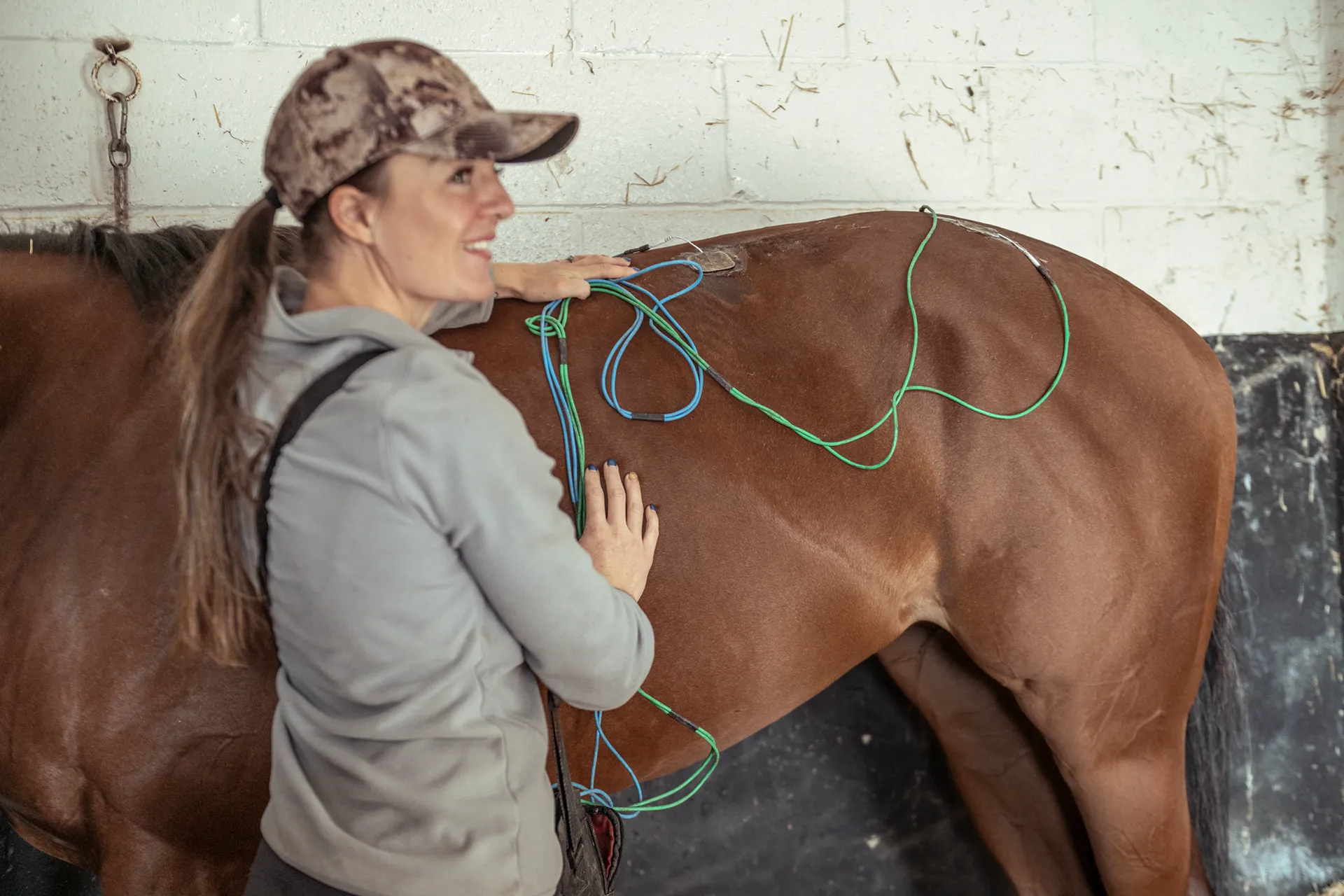 Woman in a camouflage cap and gray jacket attaching multicolored wires to a brown horse's side in a stable.