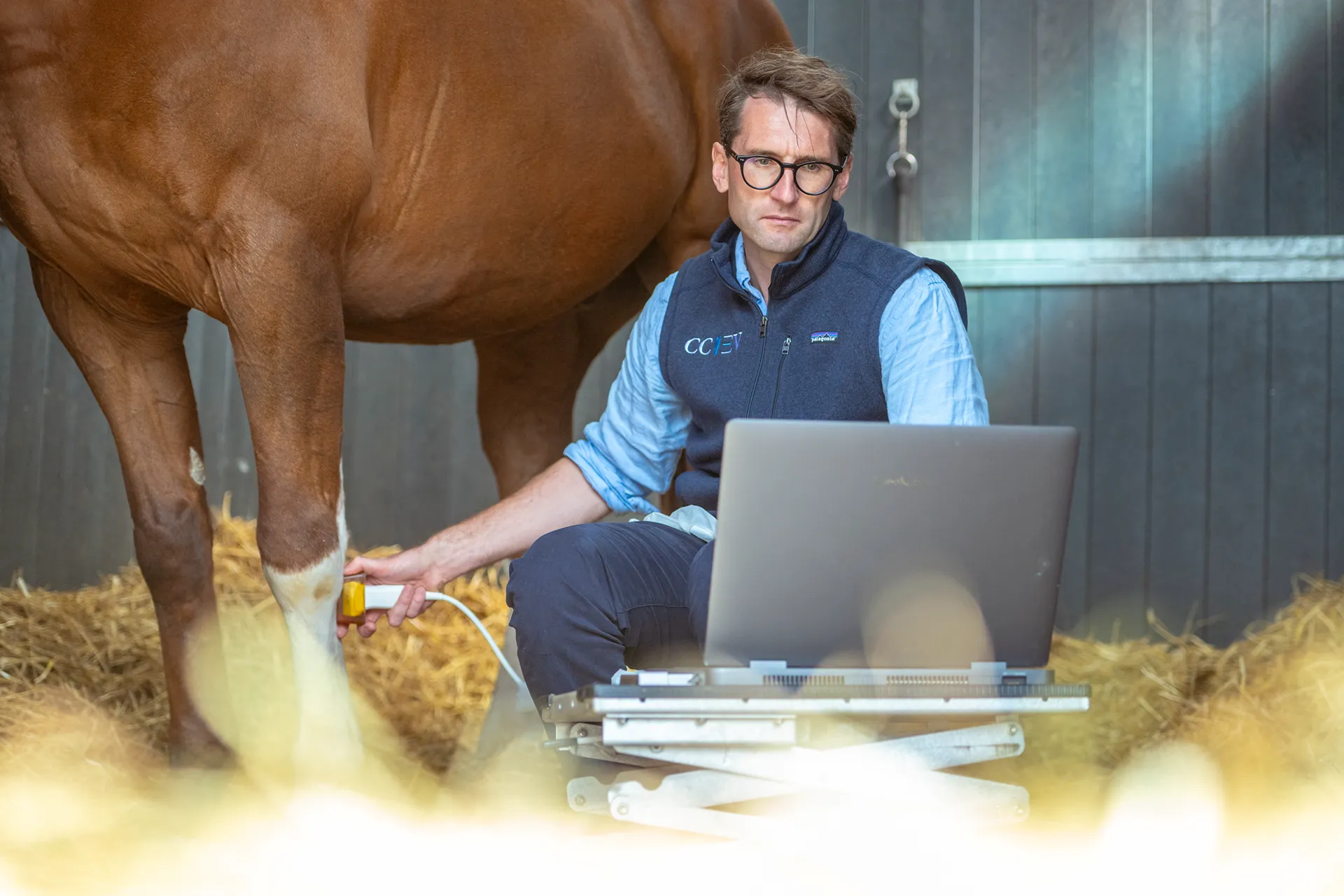 Veterinarian using a laptop and handheld device to examine a horse's leg in a stable with straw bedding.