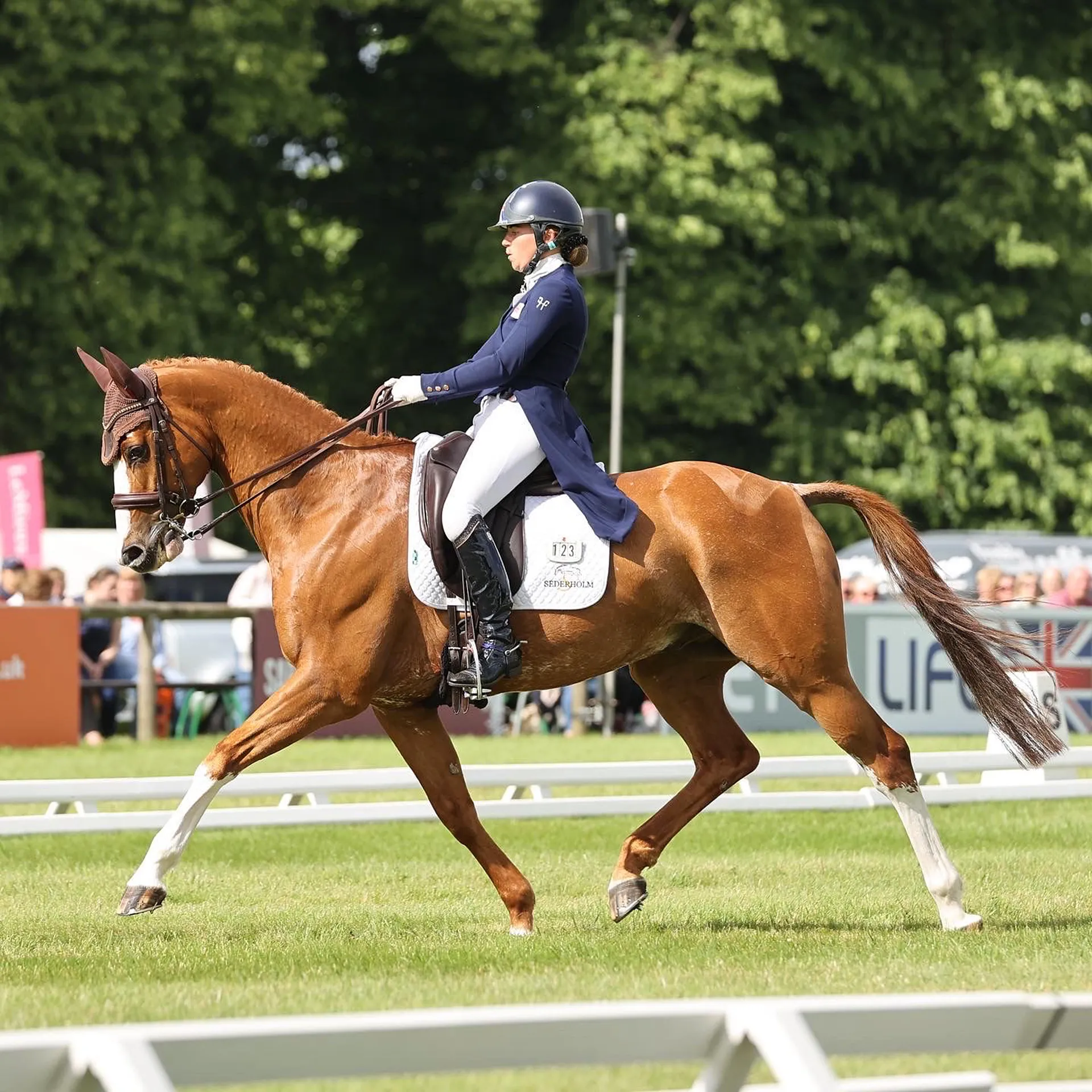 Equestrian rider dressed in navy coat and white breeches performing dressage on a chestnut horse with white markings on grass arena.