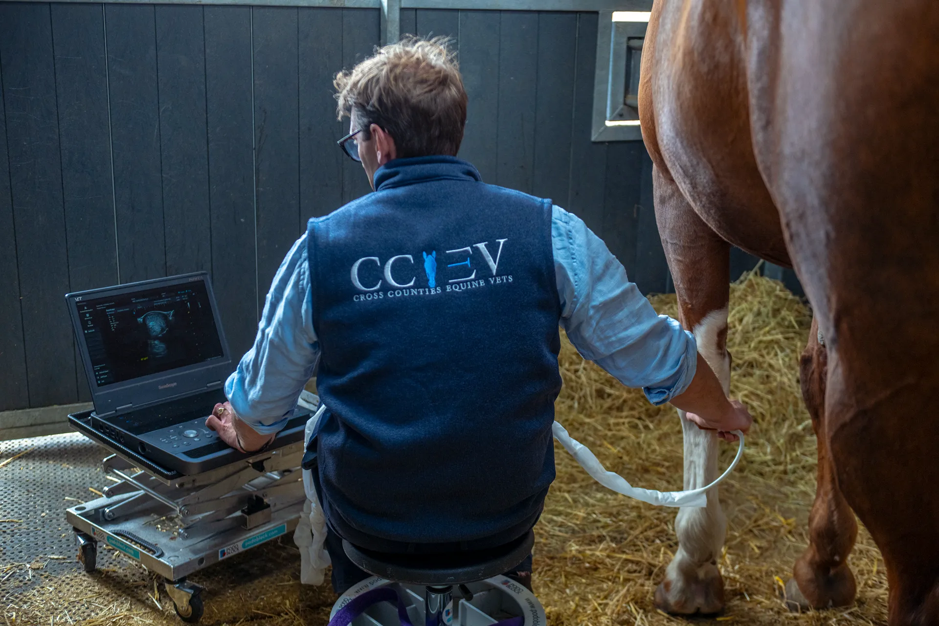 Veterinarian performing an ultrasound on a horse's leg in a stable using a portable ultrasound machine.