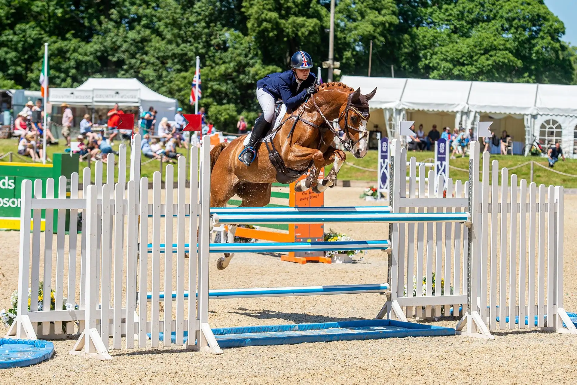 Equestrian athlete in navy jacket and white pants riding a brown horse mid-jump over a white and blue obstacle in a show jumping competition.