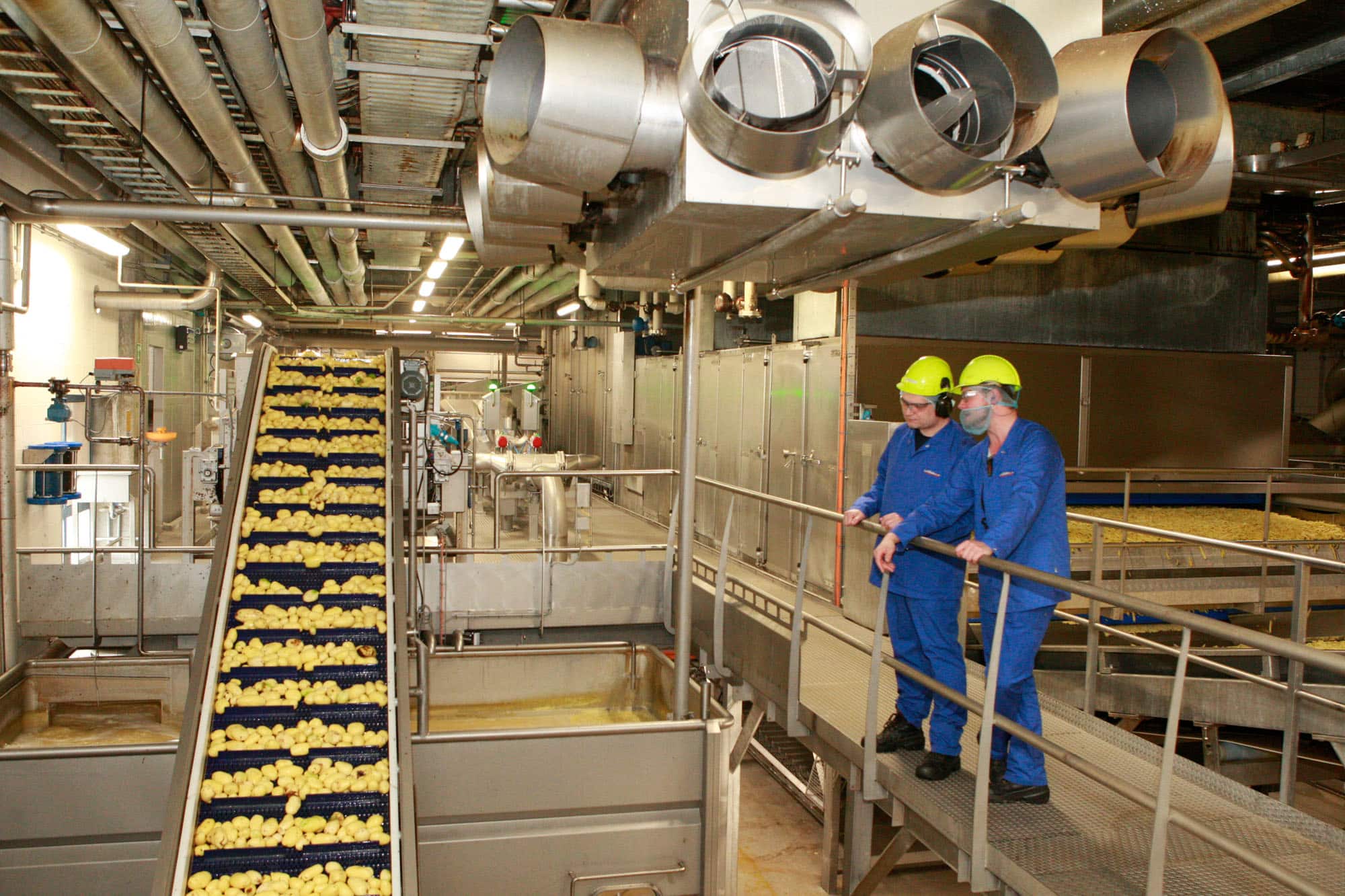 Lamb Weston produceert ieder jaar zo'n 880 miljoen kilo frietjes, met oog voor duurzaamheid