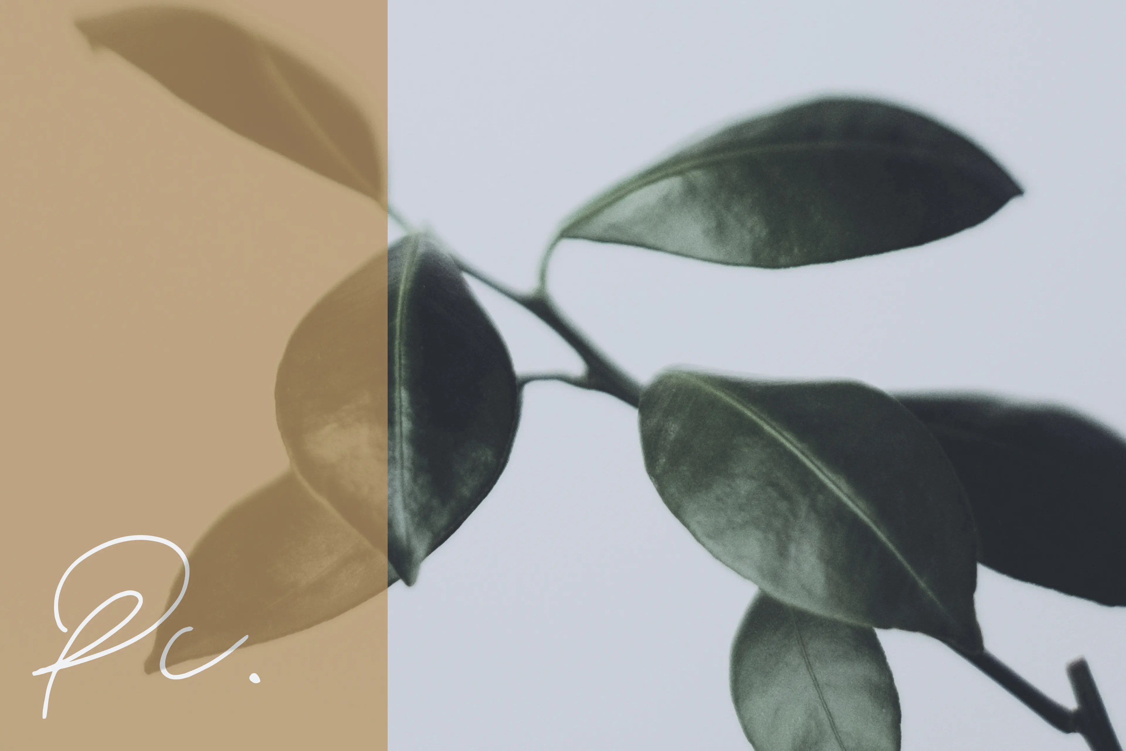 passione casa - dalla scelta alla firma