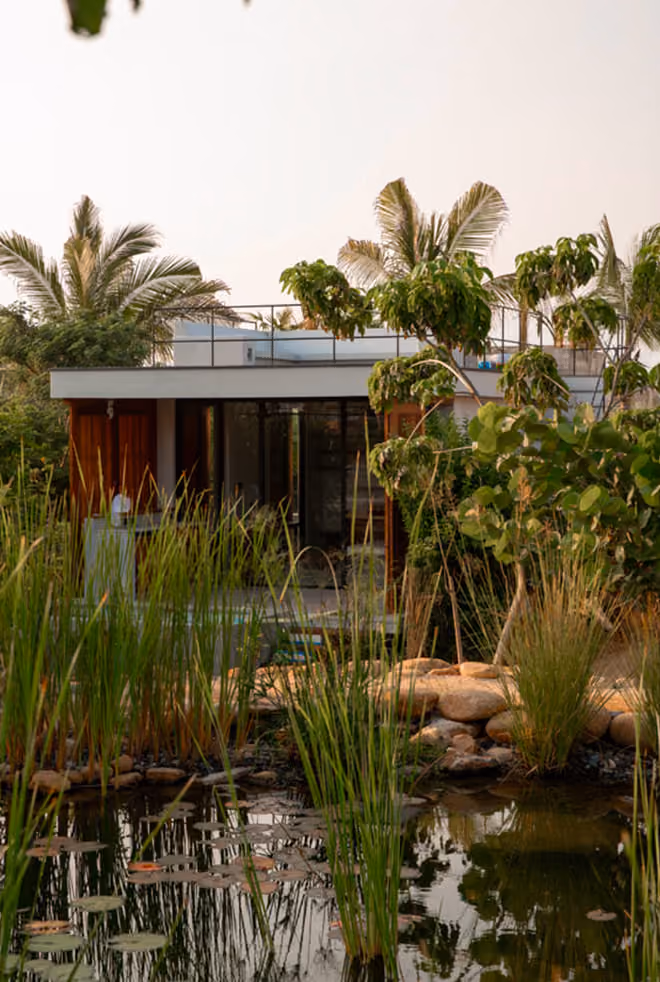 The Hideaways at MUSA among the jungle