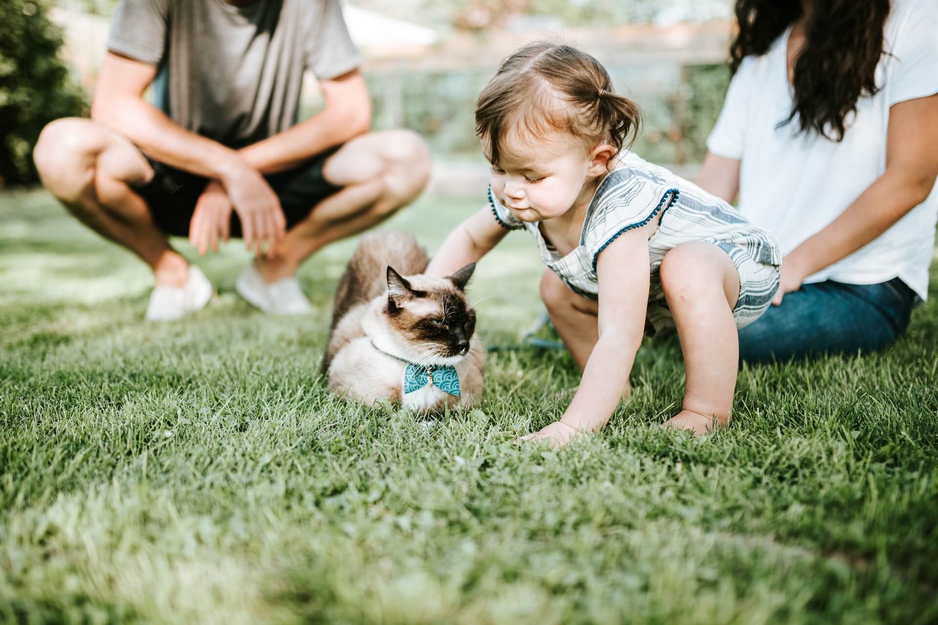 Copil care interacționează cu un animal de companie sub supraveghere, ilustrând siguranța și armonia.