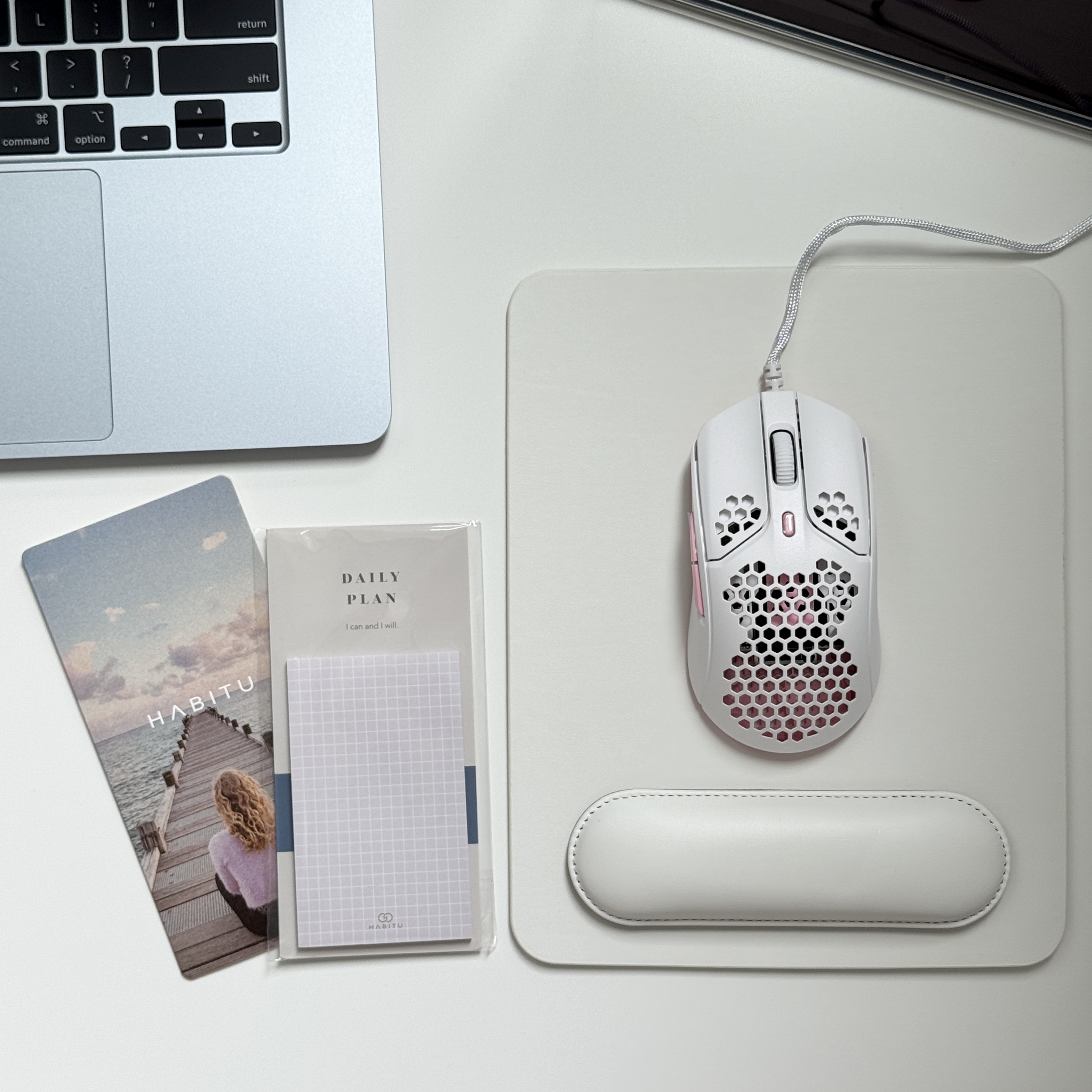 My Cozy & Productive Desk Setup