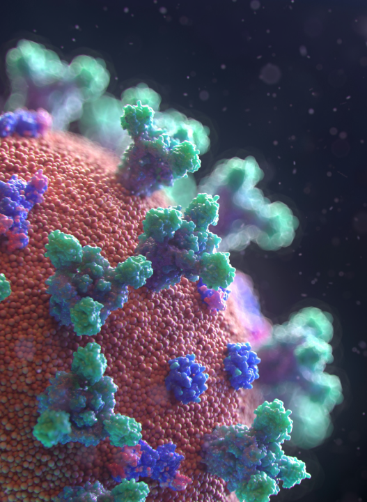 Microscopic view of a virus with spike proteins.