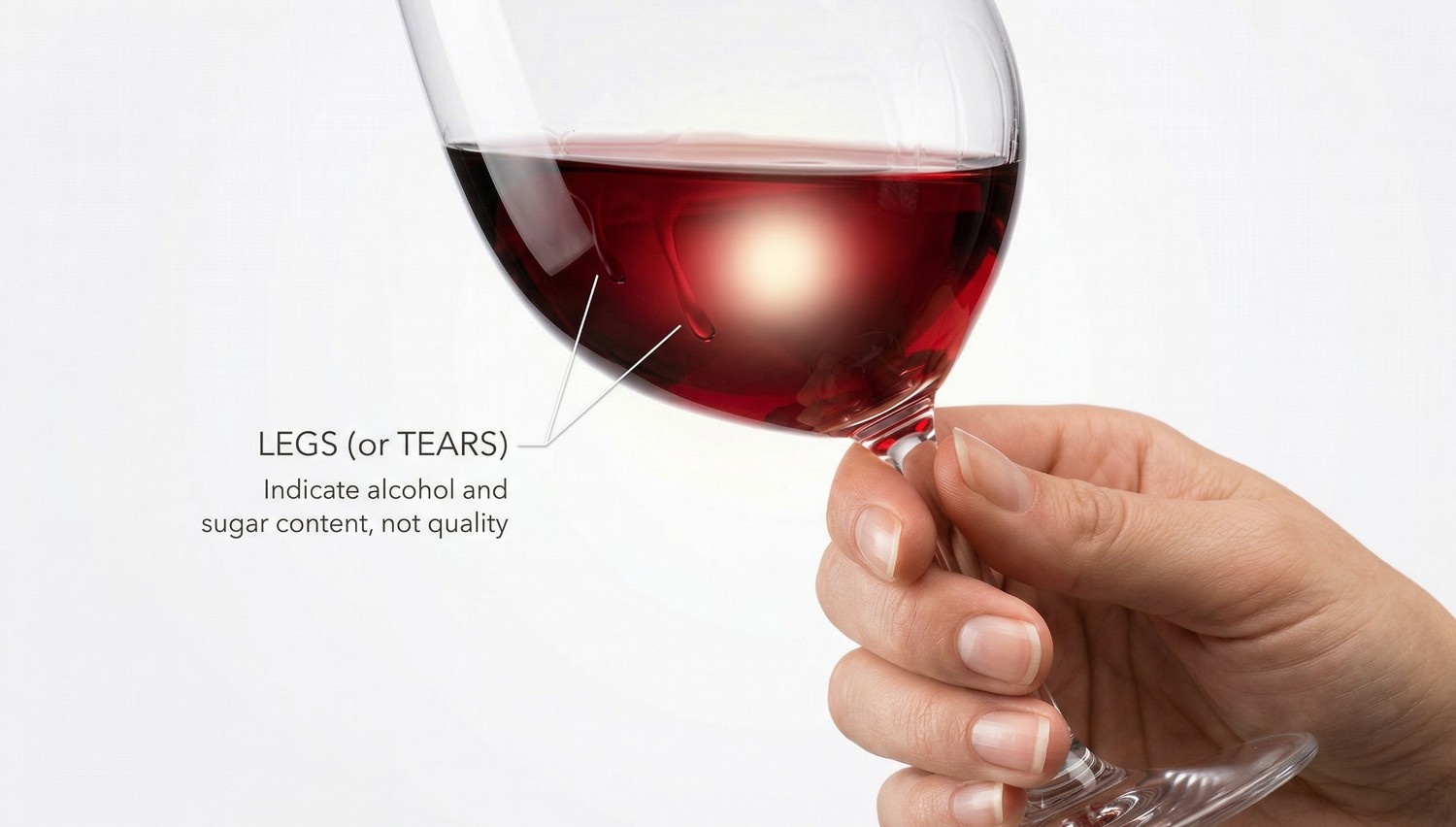 hand holding a wine glass against a clean white background
