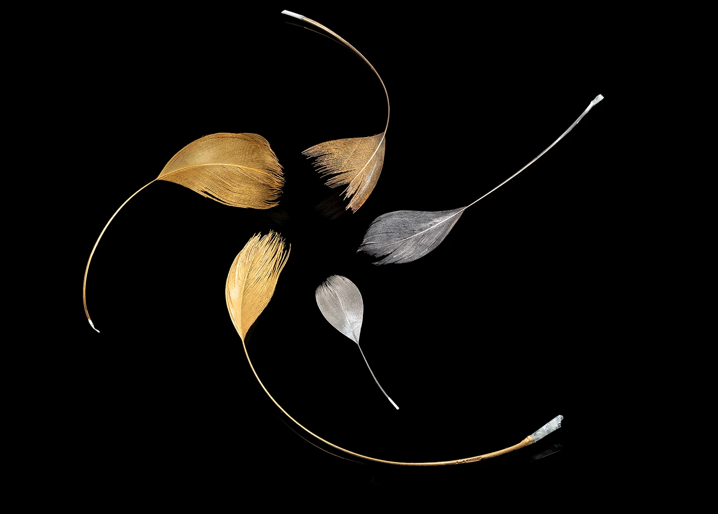 24K Gold and 18K White Gold on Feathers