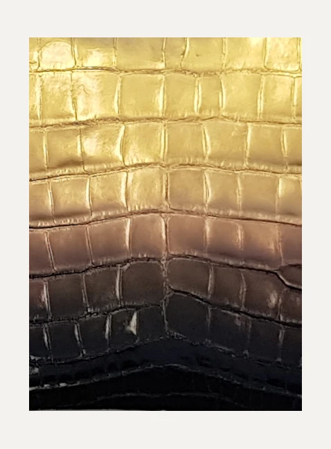 24K gold gradient on alligator leather