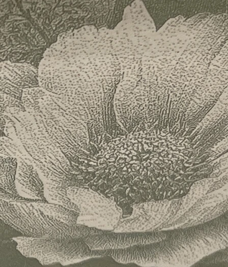 18K White Gold Engraving on Ceramic