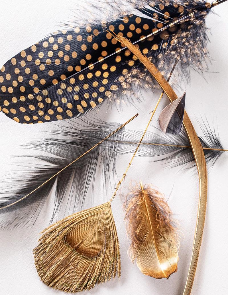 Golden Feathers By Daumet