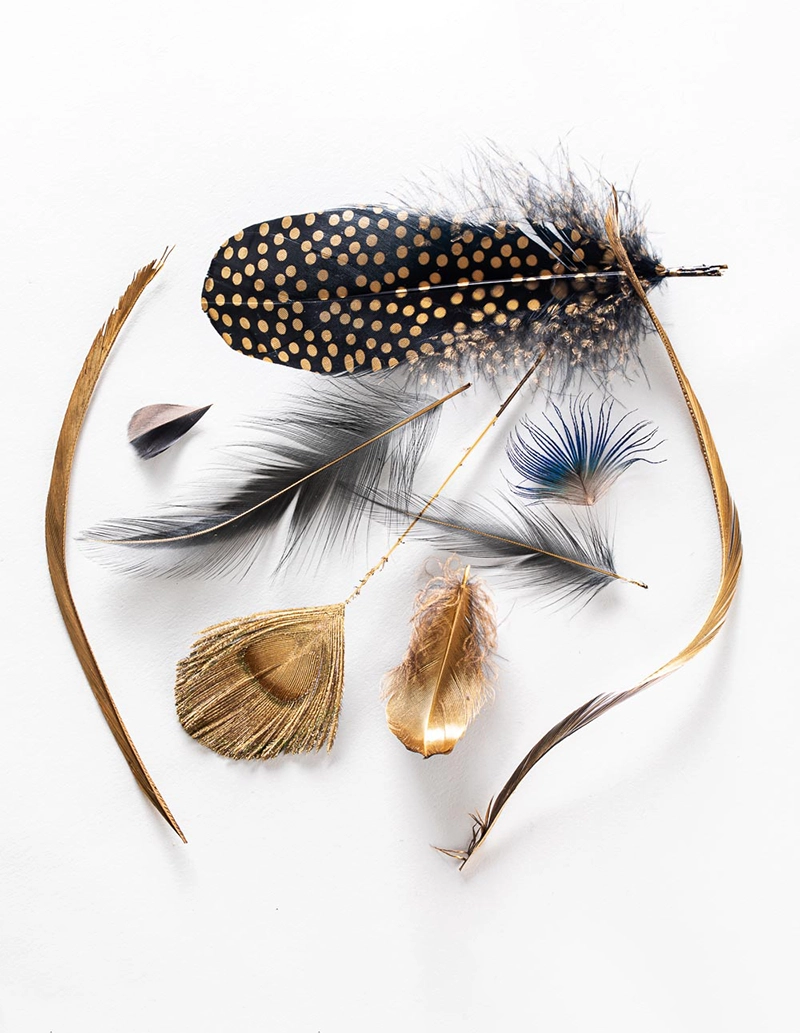 24K Golden Feathers