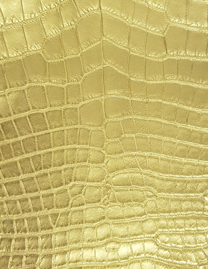 24K Gold on Alligator Leather