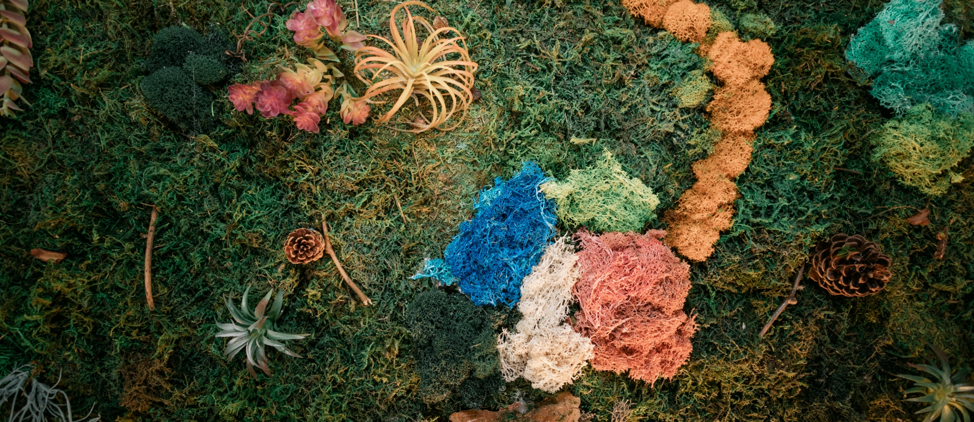 Plant art in the office Menlo Park Smiles
