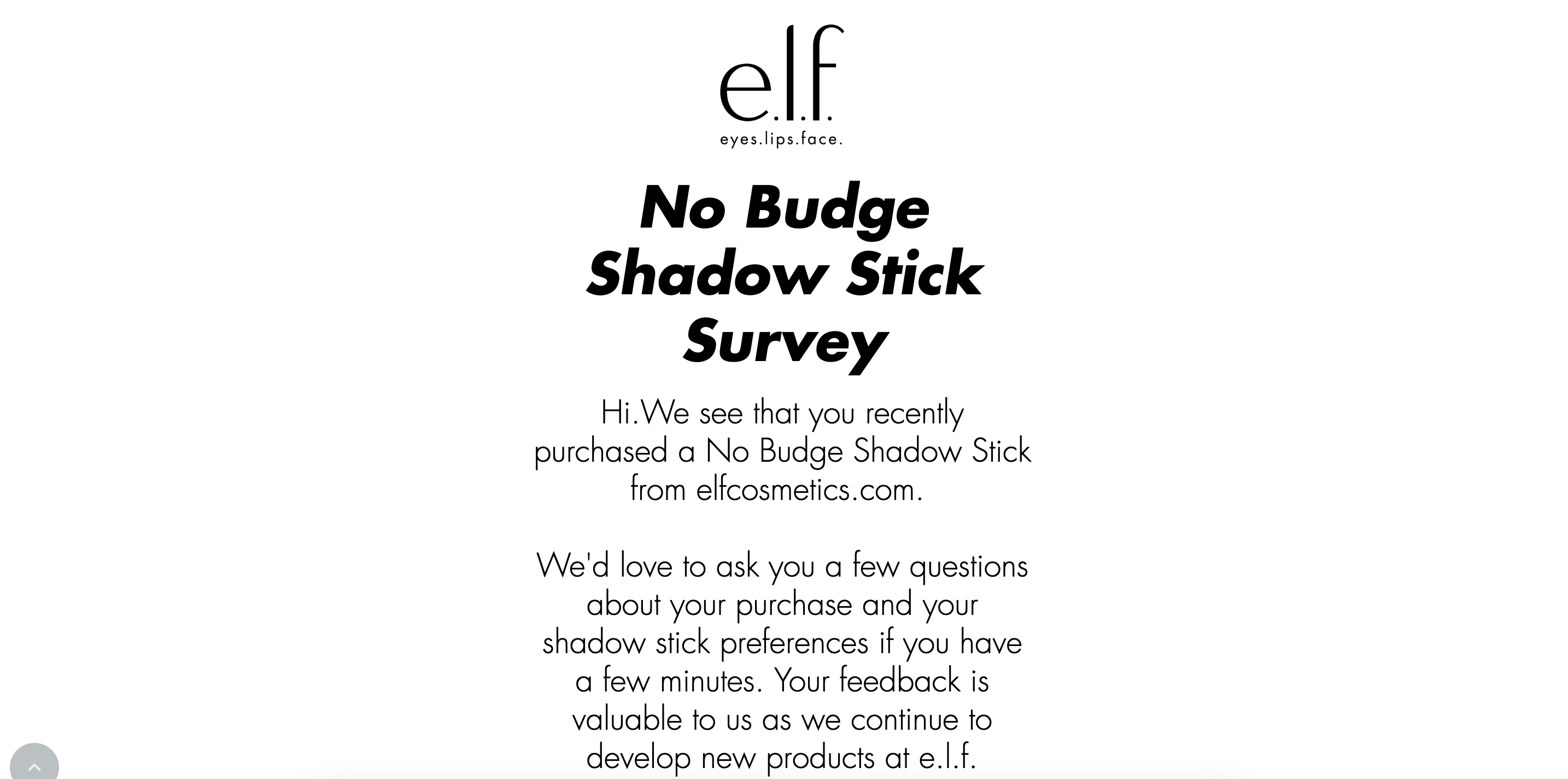 elf No Budge Shadow Stick