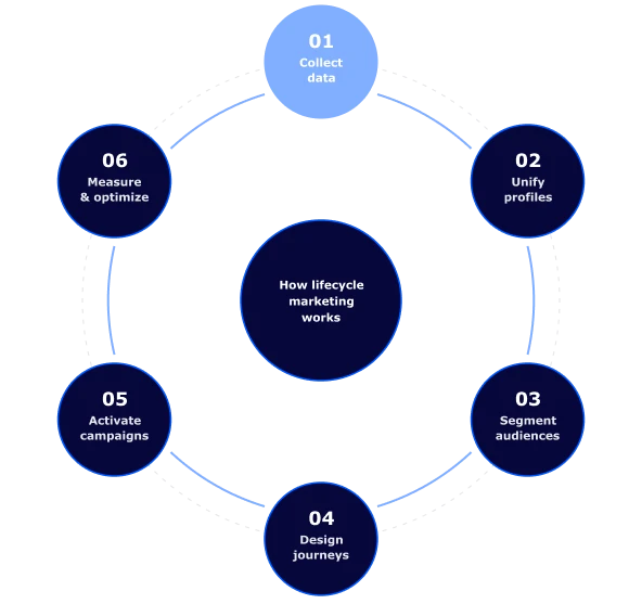 A graphic showing wow lifecycle marketing works