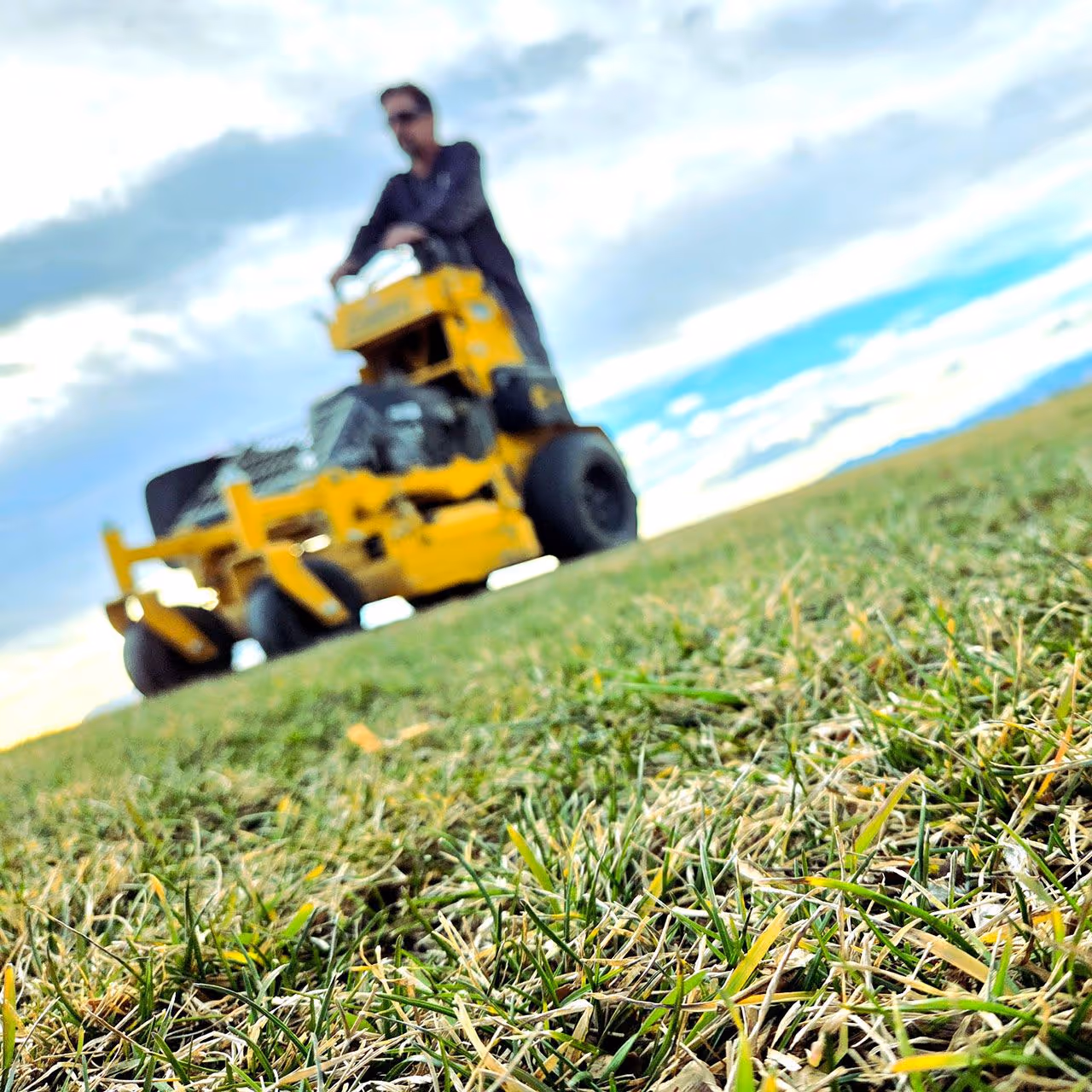 Healthy green turf after professional lawn treatment by Lawn Streat