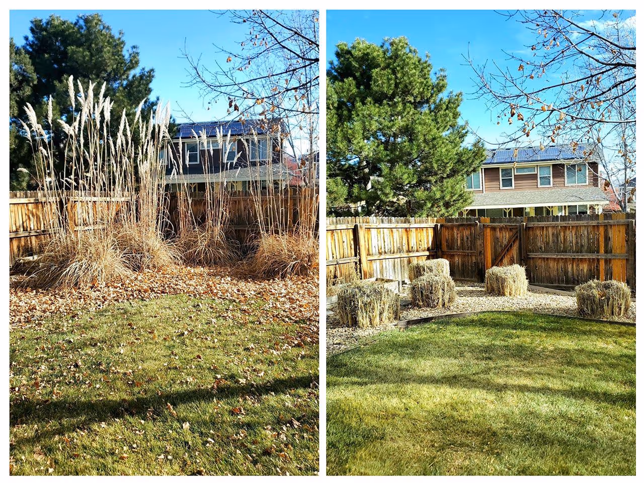 Residential lawn mowing and edging completed by Lawn Streat near me