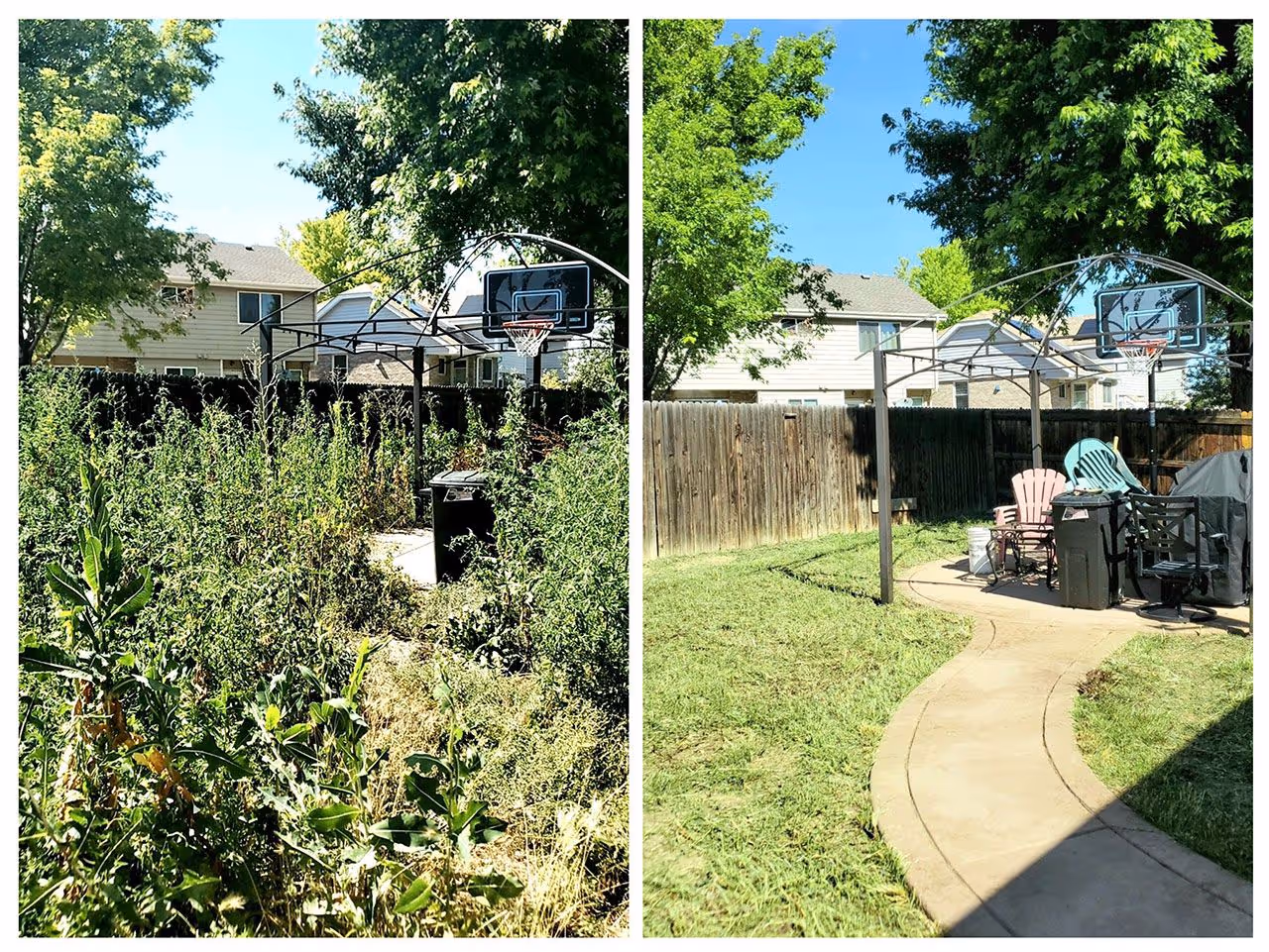 Healthy green turf after professional lawn treatment by Lawn Streat