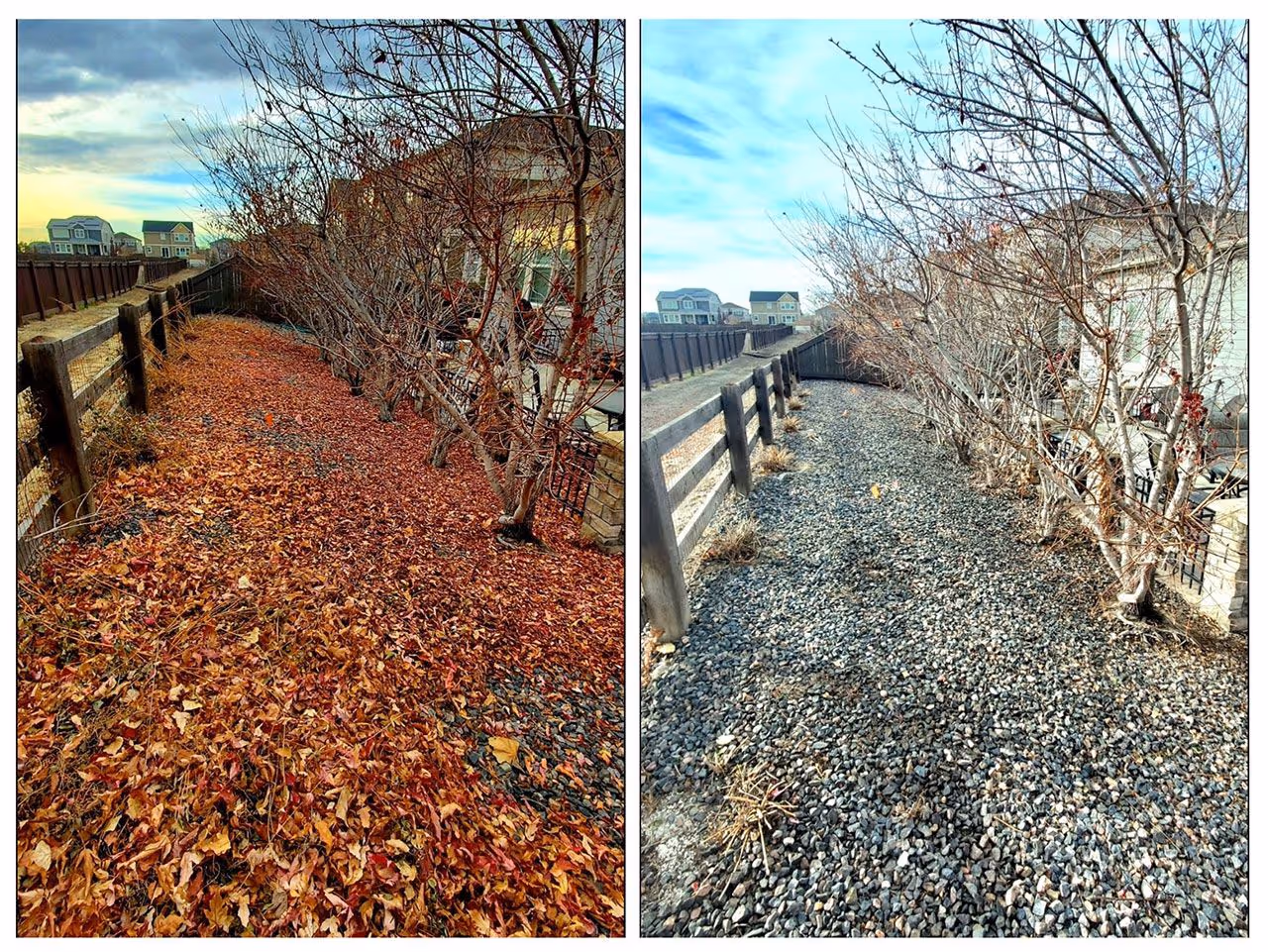 Seasonal lawn cleanup service performed by Lawn Streat for property improvement