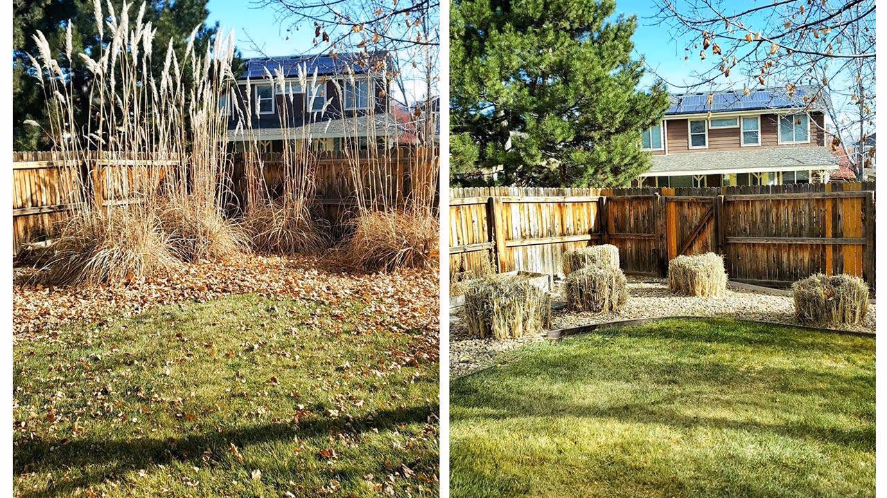 Commercial and residential lawn maintenance programs by Lawn Streat in Adams County, Colorado