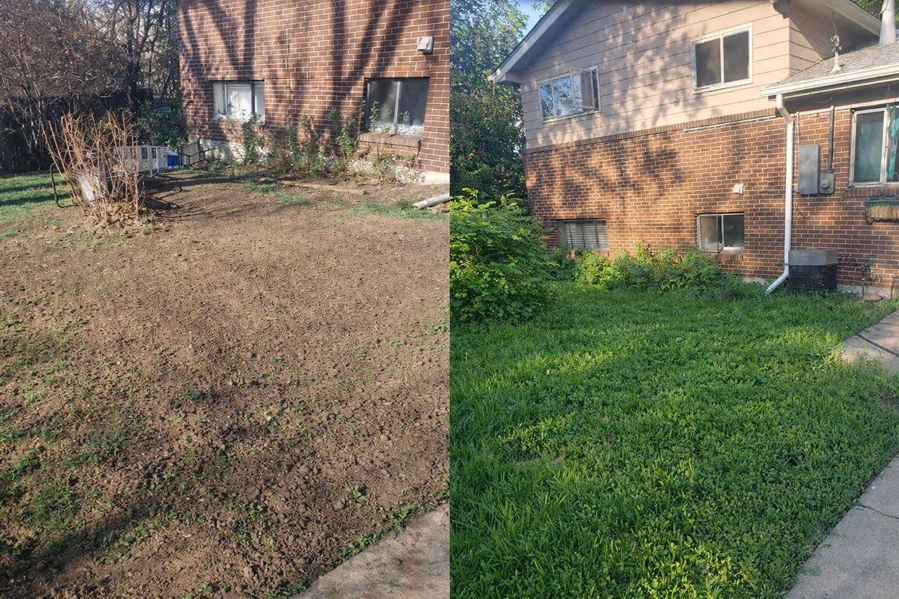 Before and after lawn renovation by LawnStreat in Northglenn, Colorado