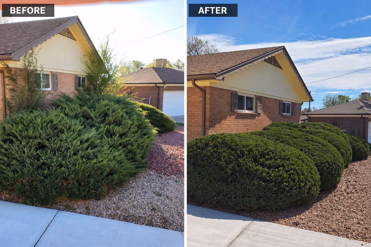 Before and after spring yard cleanup by LawnStreat in Northglenn, Colorado