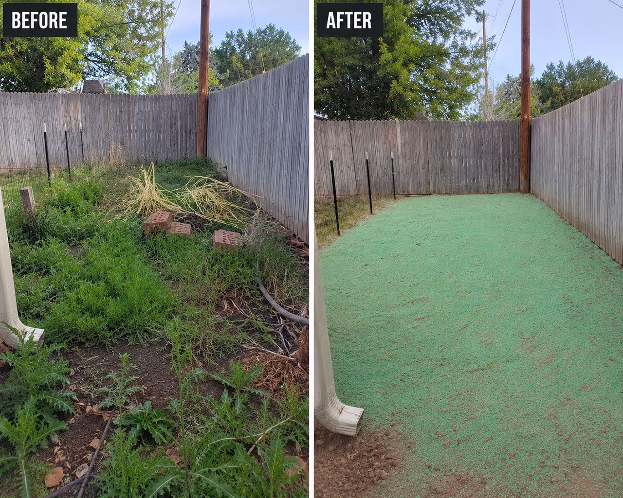 Before and after aeration and fertilization service for a healthier lawn